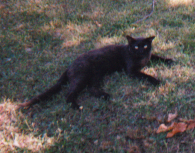 boo1.jpg